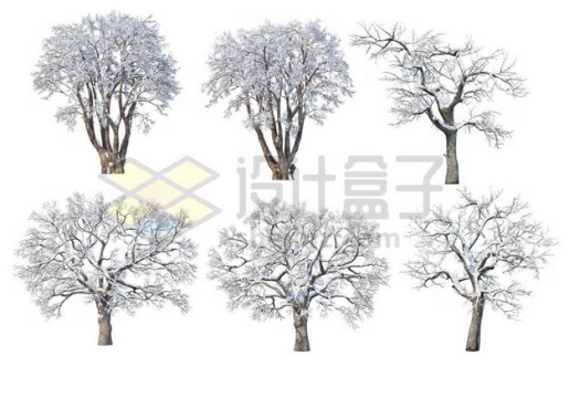 六款冬天积雪的大树等冬季雪景6567223图片免抠素材