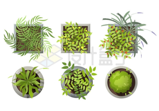 6款俯视视角的卡通盆栽植物绿植9601142矢量图片免抠素材