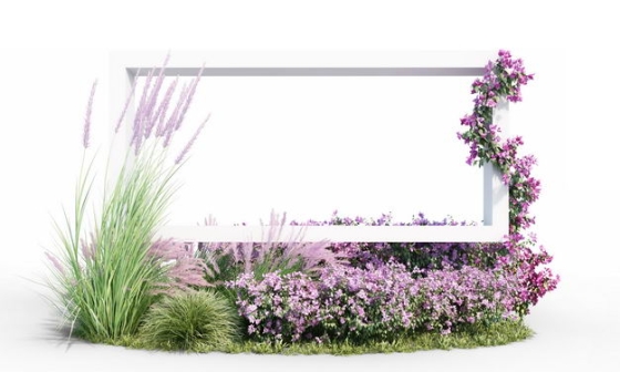 各种茅草观赏植物花卉和3D立体白色方框4017027免抠图片素材