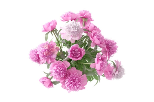 一大捧盛开的粉红色花朵鲜花3255233PSD免抠图片素材