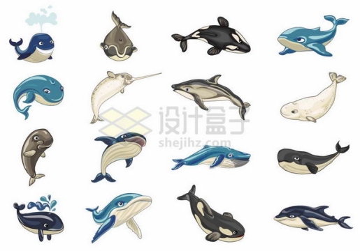 卡通鲸鱼蓝鲸海豚虎鲸独角鲸白鲸等海洋哺乳动物2241274矢量图片免抠素材