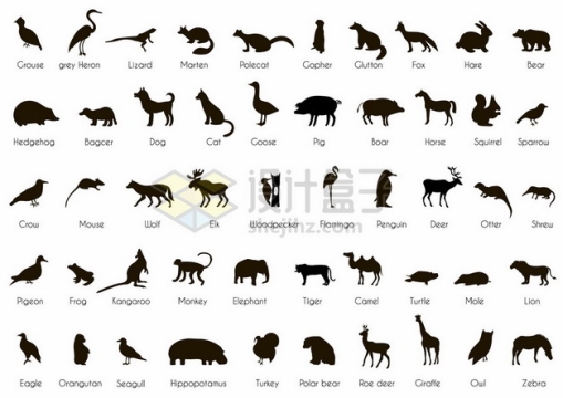 50种常见野生动物剪影8164226矢量图片免抠素材