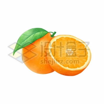 切开的橙子美味水果5036562矢量图片免抠素材