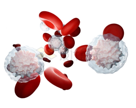 逼真的红细胞和白细胞3D模型4909754PSD免抠图片素材