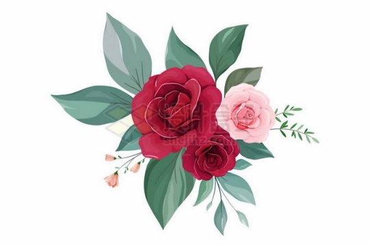盛开的大红色和粉红色玫瑰花绿叶装饰3740513矢量图片免抠素材