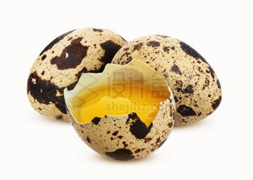 三颗鹌鹑蛋和打碎的一半蛋壳中的蛋黄9437129图片免抠素材