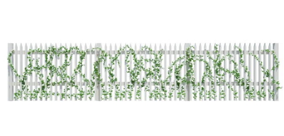 爬满爬山虎绿色藤蔓植物的白色木制栅栏围墙1147053免抠图片素材