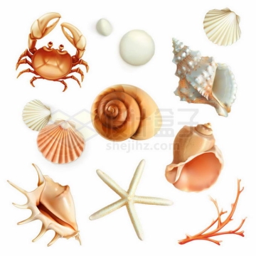 螃蟹贝壳扇贝海螺海星珊瑚海底生物2271064矢量图片免抠素材