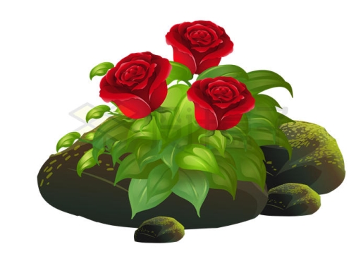 长满苔藓的石头上盛开的红色玫瑰花1397404矢量图片免抠素材