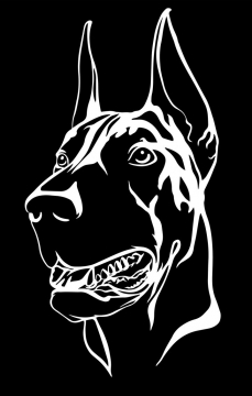 黑白画风格宠物狗狗品种大丹犬图片免抠素材