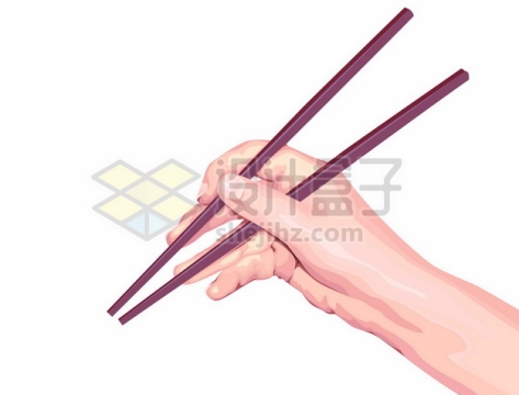 正确拿筷子的手势方法3126091矢量图片免抠素材