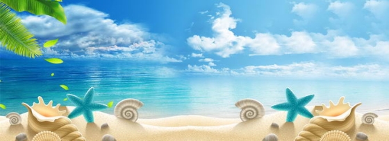 蓝天白云蔚蓝色的大海和沙滩上的各种贝壳海星横版背景图5595616免抠图片素材