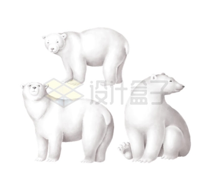 三只卡通大白熊北极熊可爱动物9305157PSD图片素材