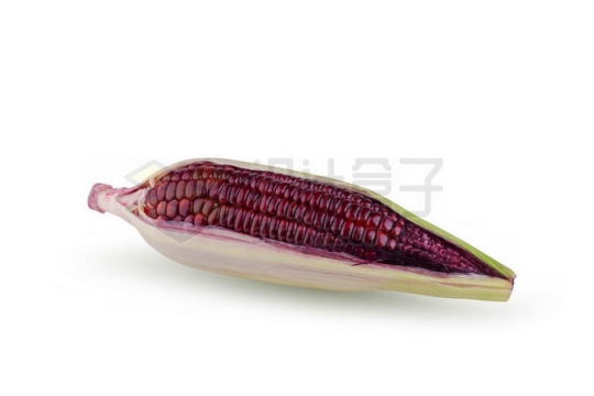 一个紫色玉米美味美食1947904图片免抠素材