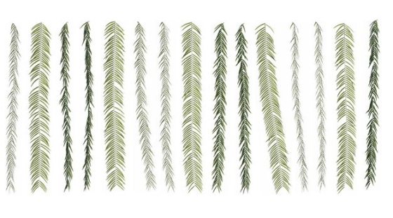 各种3D渲染的蕨类植物的树叶绿叶子600888免抠图片素材