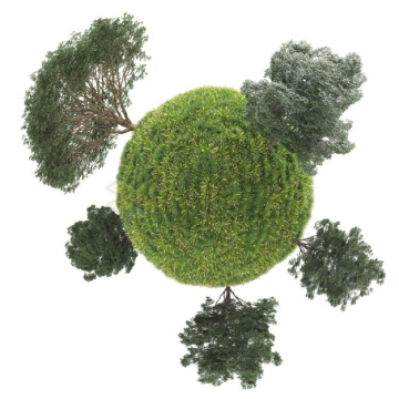 鱼眼效果青草地上的大树风景微型星球3D模型1576267PSD免抠图片素材