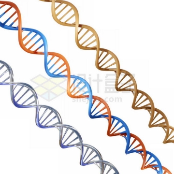 3款3D立体DNA模型1770165图片免抠素材