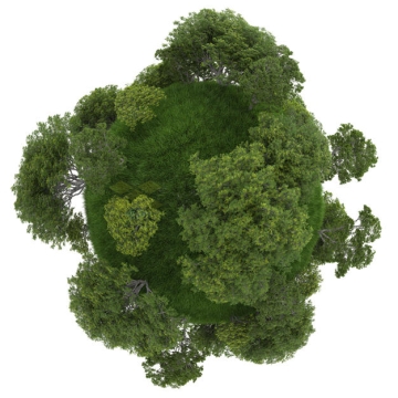 鱼眼效果草地上的树木大树风景微型星球3D模型5749041PSD免抠图片素材