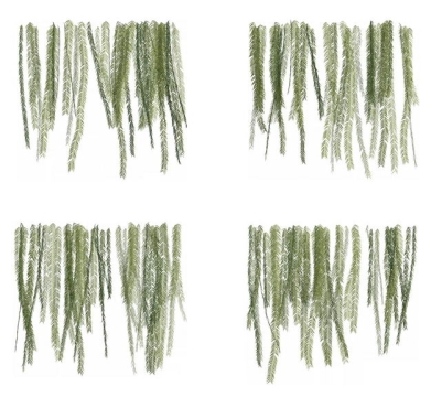 四款3D渲染的蕨类植物的树叶绿叶子783152免抠图片素材