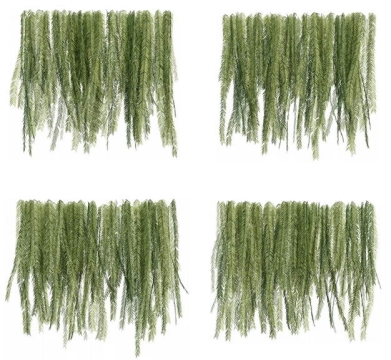 四款3D渲染的蕨类植物的树叶绿叶子258559免抠图片素材