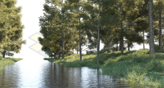沼泽湿地河流两边的水草和森林大树风景6124348PSD免抠图片素材