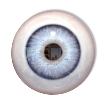 人体眼睛瞳孔3D立体人体器官模型9504429图片免抠素材