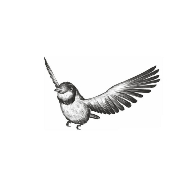 拍动翅膀的麻雀小鸟手绘素描插画5946407免抠图片素材