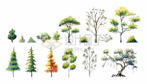 各种水彩画风格大树雪松森林树林树木6375567矢量图片免抠素材