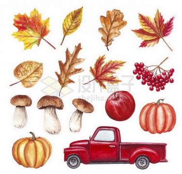 彩绘风格秋天里的枫叶蘑菇南瓜和红色皮卡汽车png图片免抠矢量素材