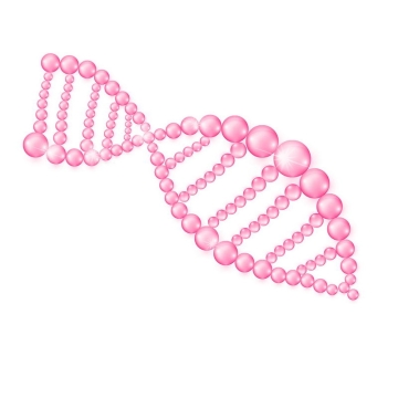 3D立体粉色水晶珠子组成的DNA双螺旋结构4607528图片免抠素材