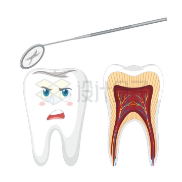 牙科口镜观察牙齿问题和牙齿内部结构示意图2027013矢量图片免抠素材下载