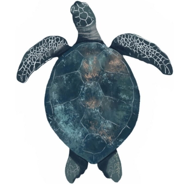 一只玳瑁海龟海洋爬行动物8670860免抠图片素材