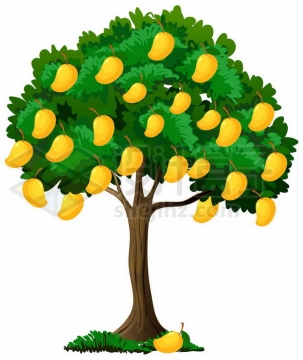 长满黄色果实卡通芒果树1555171矢量图片免抠素材免费下载