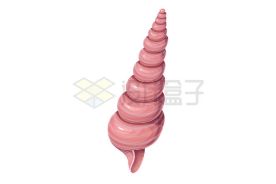 一款长管海狮螺海洋软体动物6322616矢量图片免抠素材