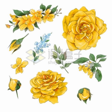 水彩画风格的黄色玫瑰花鲜花png图片免抠矢量素材