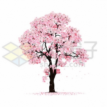 开满粉色桃花的桃树满地的花瓣542624png图片素材