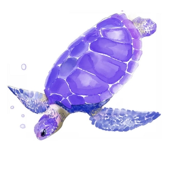 紫色的玳瑁海龟海洋爬行动物水彩插画7471976免抠图片素材