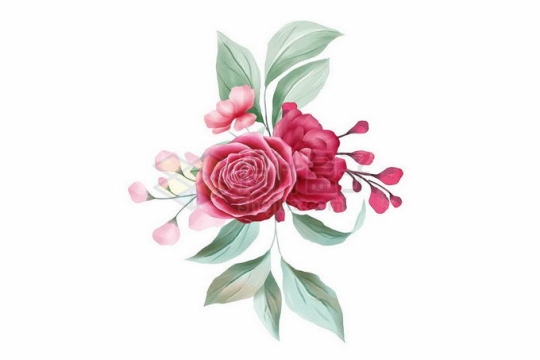 盛开的大红色和粉红色玫瑰花绿叶装饰9512114矢量图片免抠素材