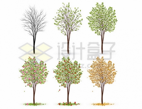 大树从冬天到春天夏天秋天一年四季的树叶发芽落叶情况301615png图片素材
