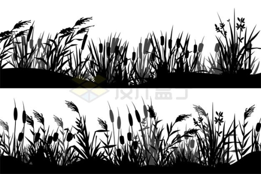 2款香蒲芦苇半水生植物黑色剪影3092178矢量图片免抠素材