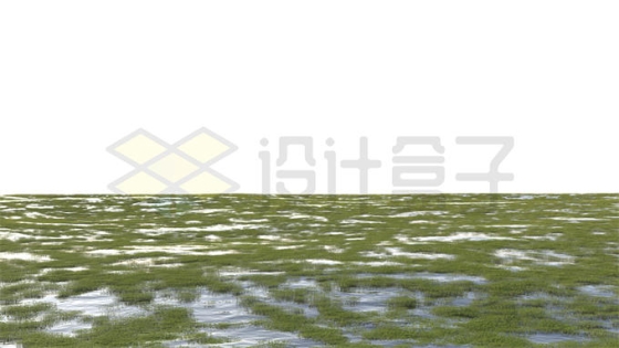 一望无际沼泽湿地中的水草和水洼地风景9134508PSD免抠图片素材