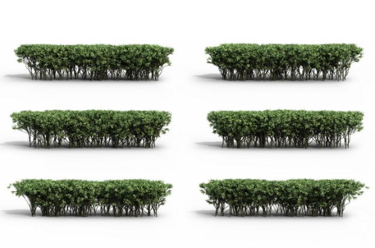 六款3D渲染的红树林灌木丛绿植观赏植物304052免抠图片素材