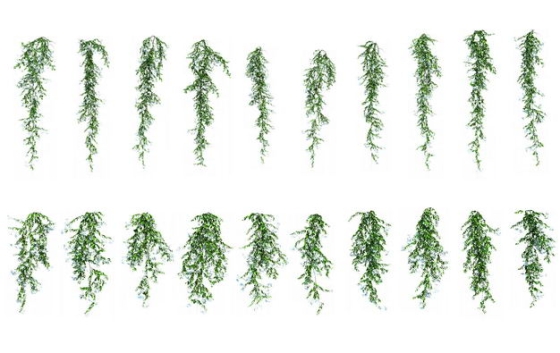 各种下垂的树叶绿植观赏植物867108免抠图片素材