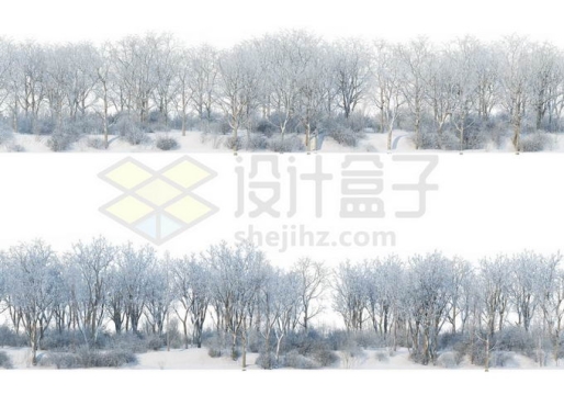 2款冬天大雪覆盖的阔叶林树林森林雪景风景9464666免抠图片素材