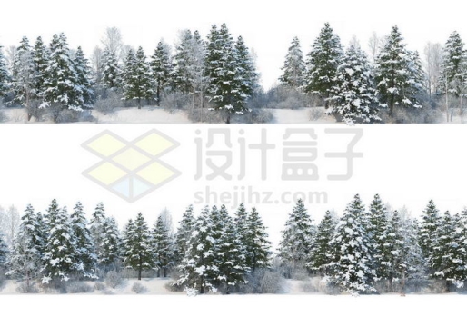 2款冬天大雪覆盖的雪松林树林森林雪景风景4074280免抠图片素材