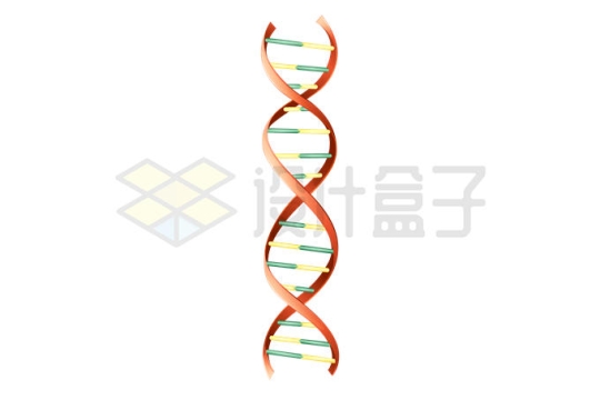 一款3D立体风格DNA双螺旋结构2210515矢量图片免抠素材