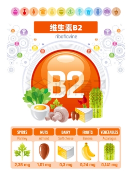 富含维生素B2的食物及其含量多少8917346矢量图片免抠素材