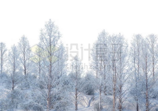 冬天东北大兴安岭大雪覆盖的落叶林森林树林雪景风景3436092免抠图片素材