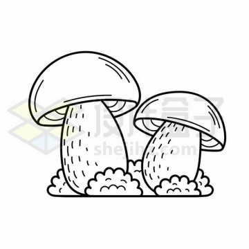 两颗香菇蘑菇线条简笔画9743130矢量图片免抠素材