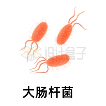 大肠杆菌是一种致病细菌5631764矢量图片免抠素材
